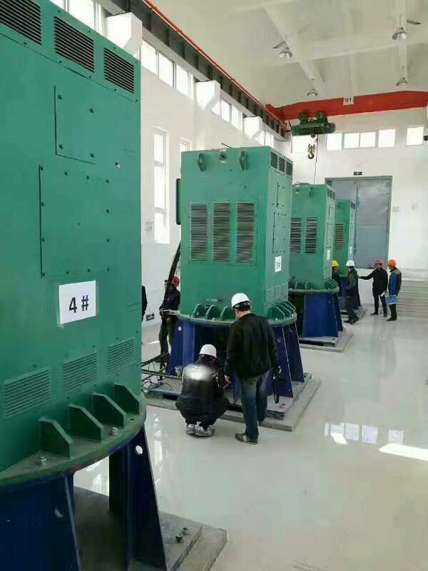 嵩县某污水处理厂使用我厂的立式高压电机安装现场
